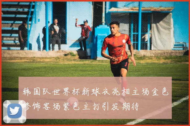 韩国队世界杯新球衣亮相主场金色修饰客场紫色主打引发期待