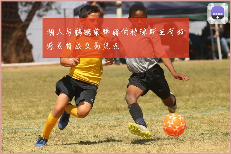 湖人与鹈鹕前锋赫伯特琼斯互有好感或将成交易焦点